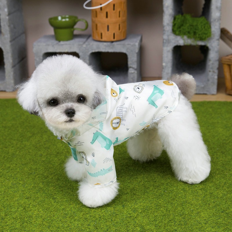 2026 Dog Raincoat Teddy Outdoo - Summer Days Clothing review and price