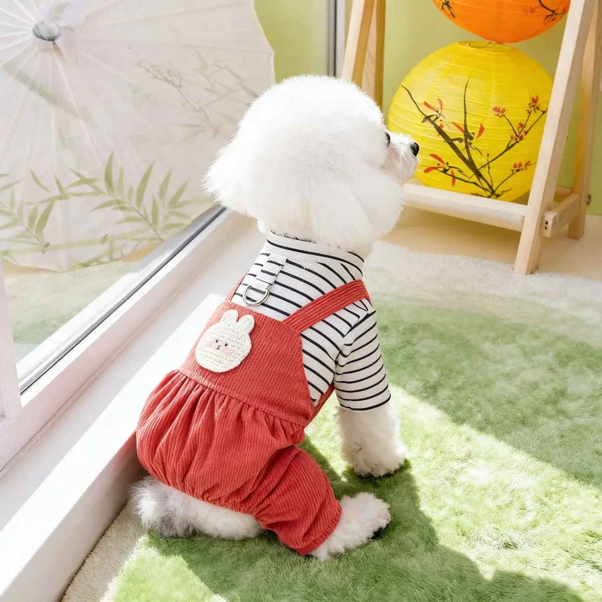 Pet Clothing, Dog Clothing, Sp - Summer Days Clothing review and price