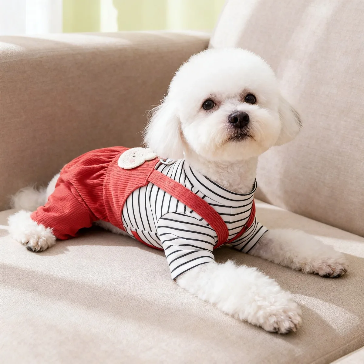 Pet Clothing, Dog Clothing, Sp - Summer Days Clothing review and price