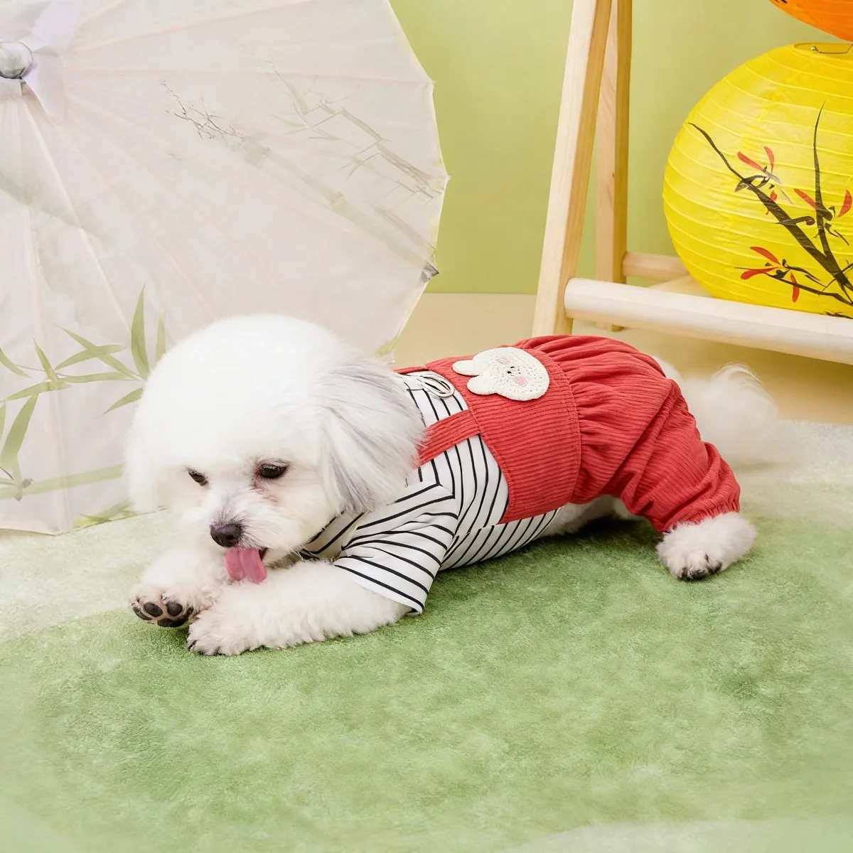 Pet Clothing, Dog Clothing, Sp - Summer Days Clothing review and price